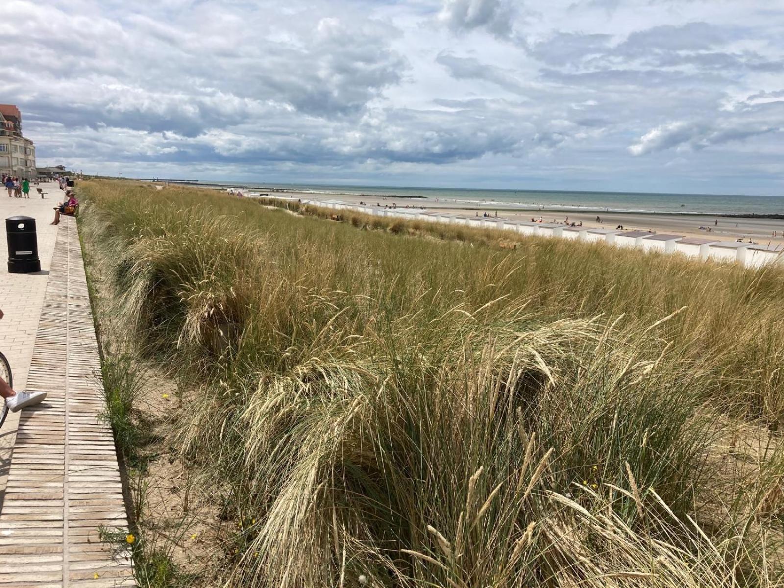 Middelbeach 미들케르케 외부 사진